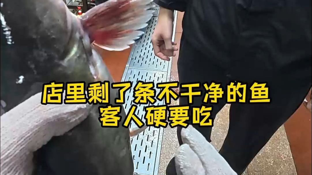 今天剩了条不干净的鱼，客人硬要吃，真是没办法
