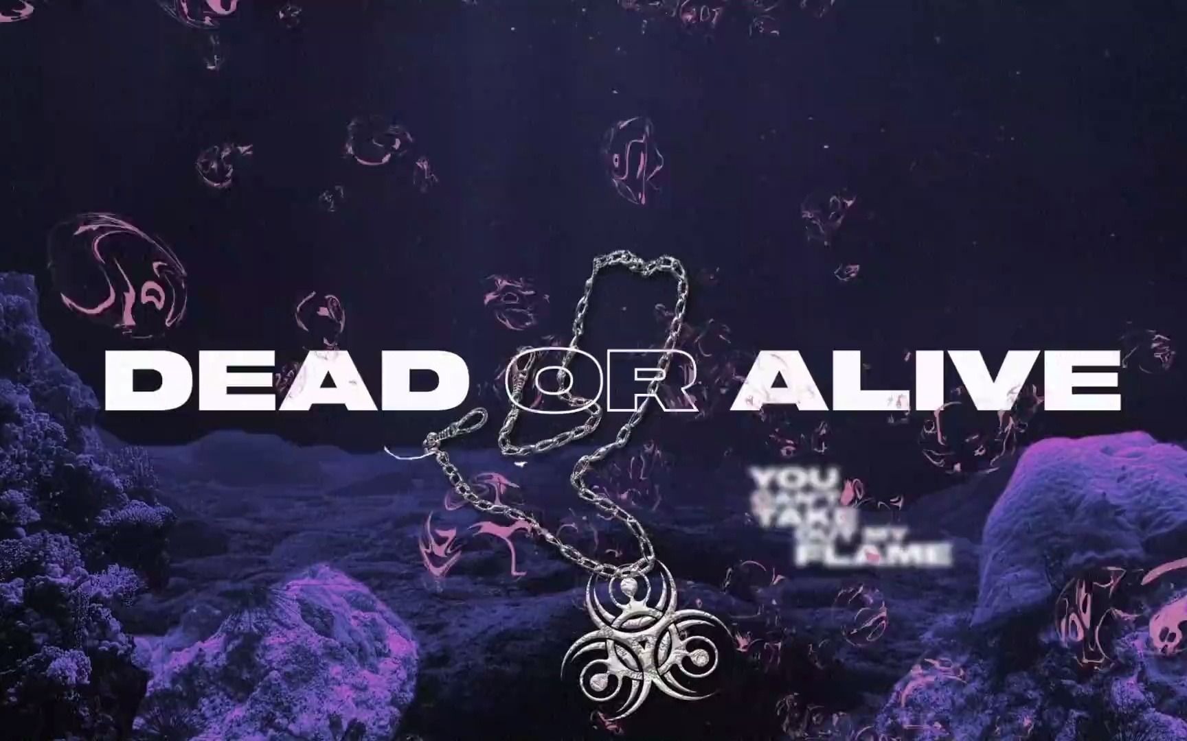 日本金属核/电子/工业金属Crossfaith  'Dead or Alive'哔哩哔哩bilibili