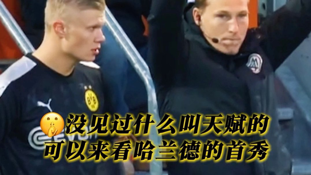 “天才只是见我的门槛”