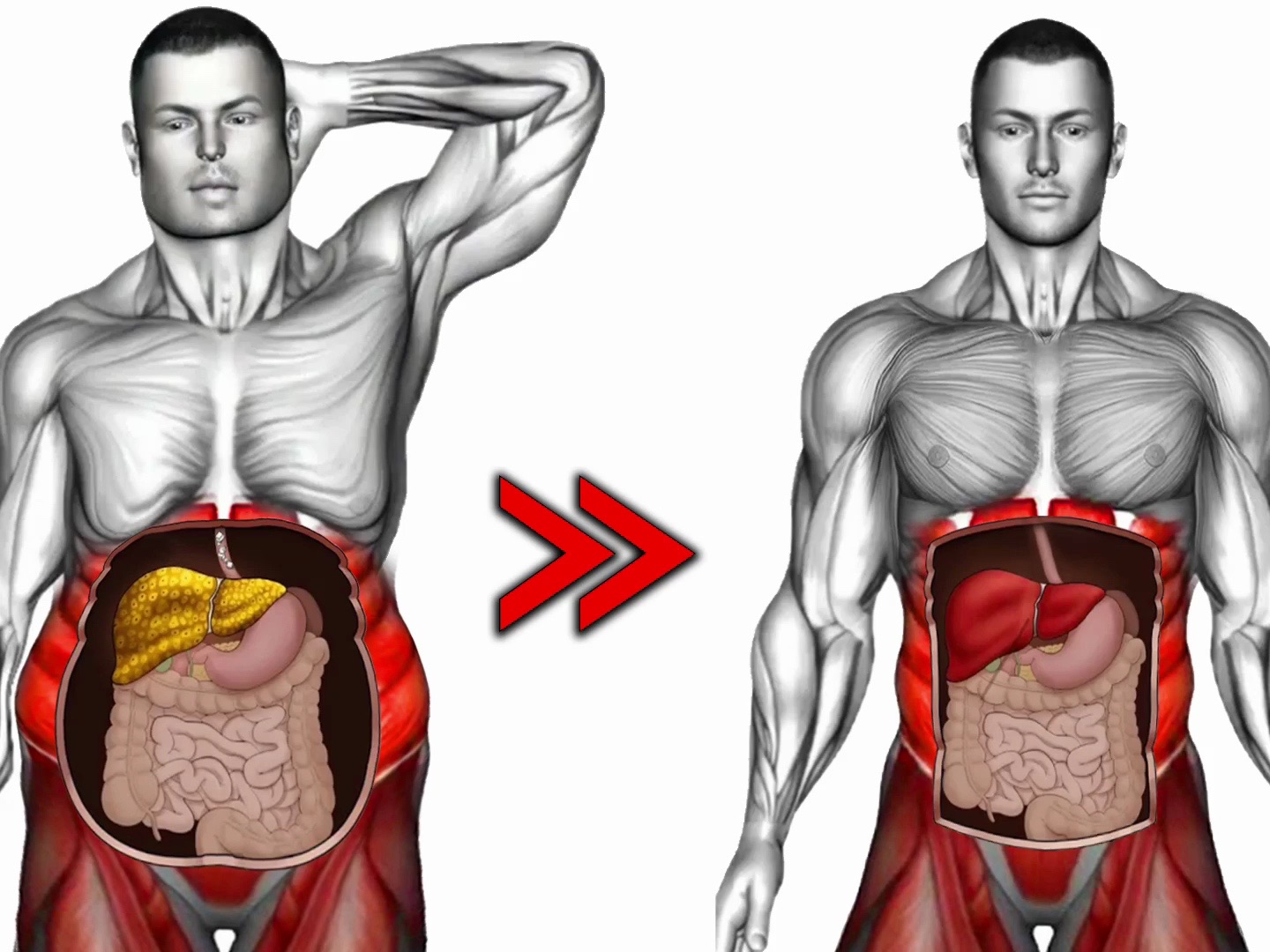 脂肪肝最怕的训练，每天练一遍，肝脏越健康