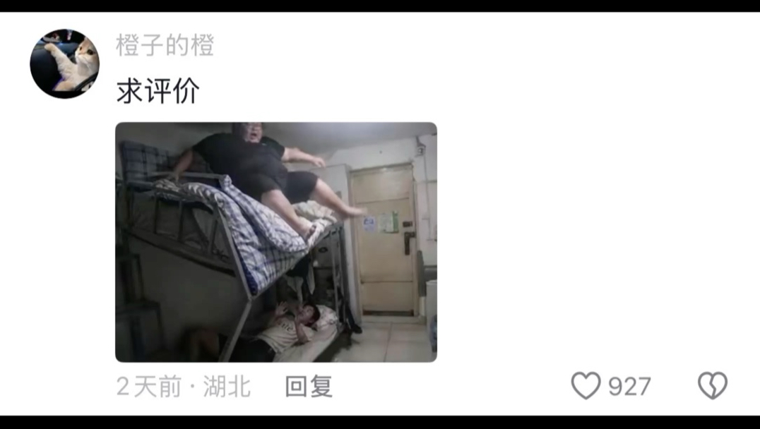 评论区摄影作品锐评，没有播放过这个视频的手机就是一块砖！看完不笑的可以确诊绷带了。