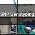 【JoVE】SNP Genotyping分子标记技术前沿