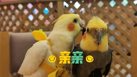 f52a36d4545a21d94be4981c391b4568568a527c.jpg@280w_158h_1c_100q.jpg
