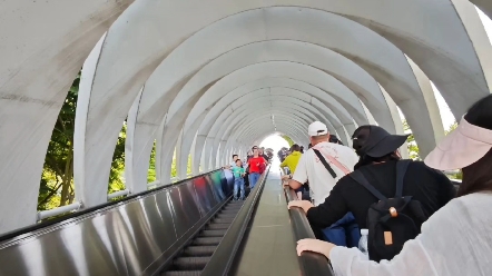 生活记录，随手拍，咔咔咔