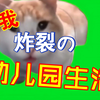 「猫meme」幼儿园的の致暗时刻