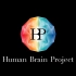 【欧盟人类大脑计划】未来医学：脑疾病神经科学