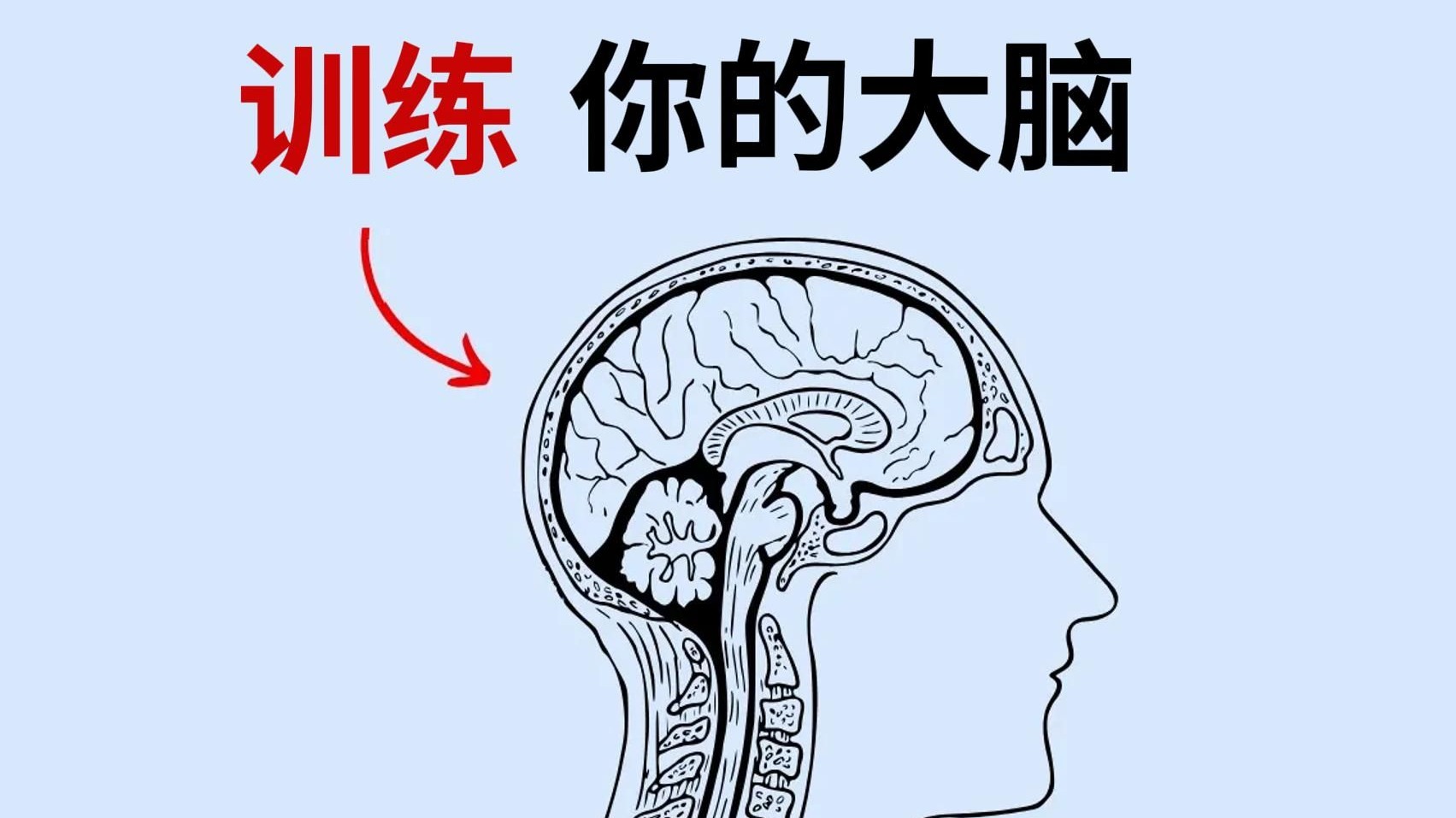 用莲花法训练你的大脑，达到极致的自律
