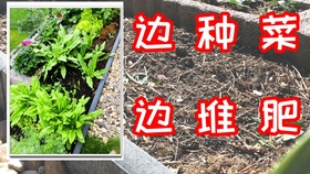 f58eab3159bd0ed13dd3f8f167626c9f54a07954.jpg@280w_158h_1c_100q.jpg