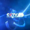 CCTV-1 channel id （2013.01.01-2015.12.31）.flv