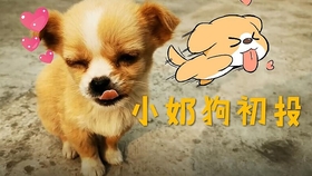 f5ac5ccdb3ab5a0b73e05df0804d30b3a53967f9.jpg@280w_158h_1c_100q.jpg