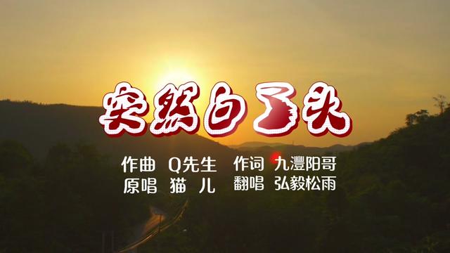 《突然白了头》，青丝白发一瞬间，新歌上线，情感音乐。停不住的是脚步，留不住的是春秋🌹💐☕️