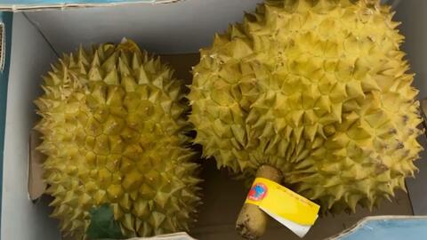 f5b4d091751663d145f730e592ab6f967b27282c.jpg@480w_270h_1c