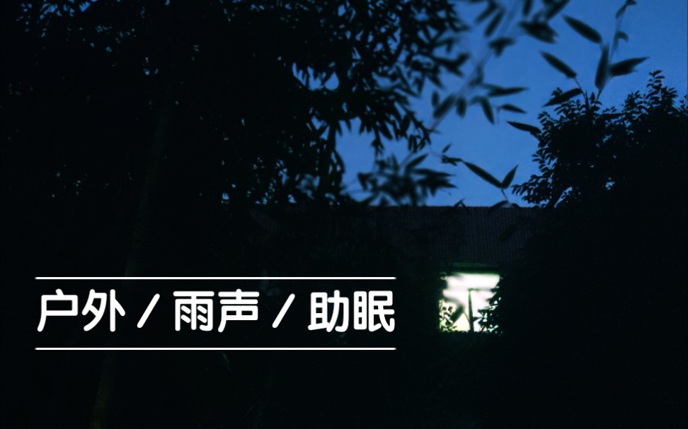 户外雨声助眠竹林小径中小雨鸟语催眠向放松