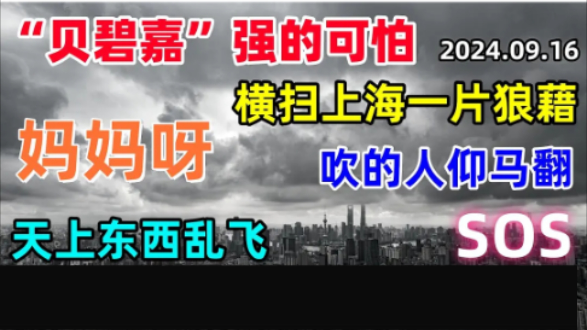 75年来最强台风“贝碧嘉”,横扫上海后一片狼藉,吹的人仰马翻,天上东西乱飞.哔哩哔哩bilibili