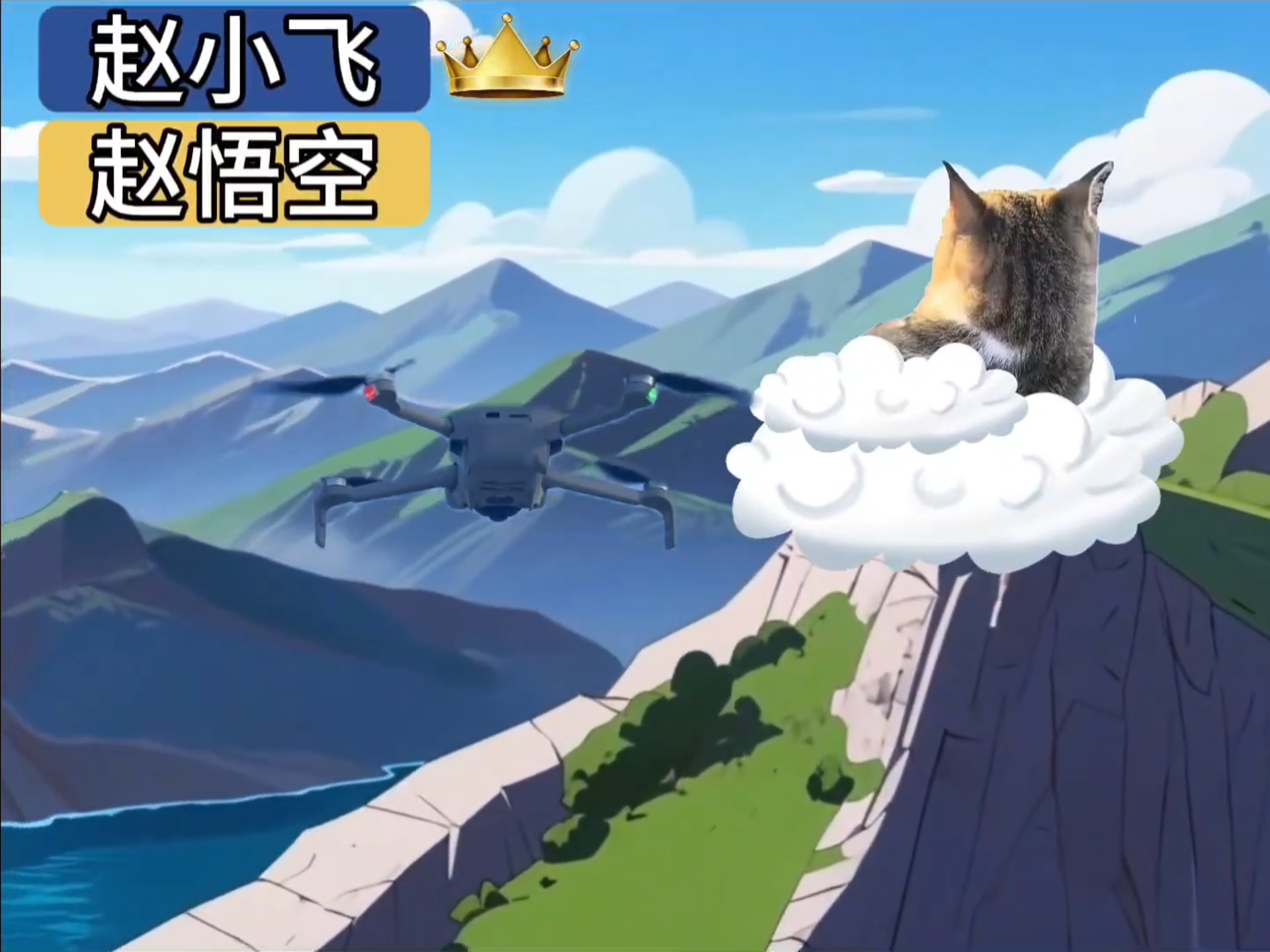 悟空和赵小飞的飞行比赛，悟空发动火眼金睛技能打掉赵小飞 误伤师父