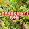 可能抵抗核辐射的食物(11)：硫辛酸