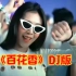 魏新雨-《百花香》DJ版