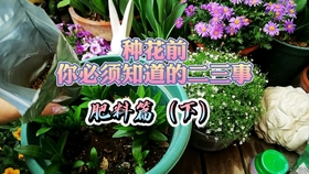 f5f89a5992643a81118b31ef134b11c2880e2d77.jpg@280w_158h_1c_100q.jpg