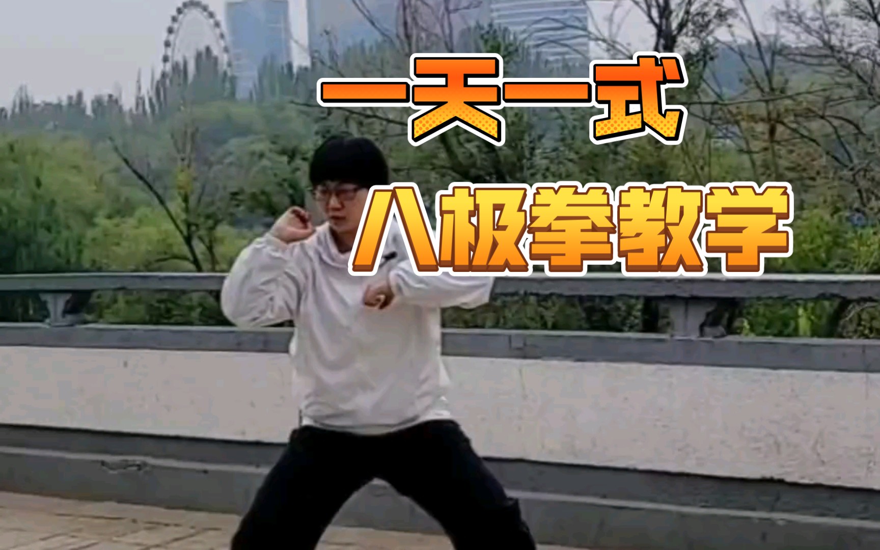 想学武术的抓紧这班车，八极拳小架一路教学（4）两仪桩