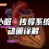 【自制双语】心脏传导系统动画详解 Conduction system of the heart