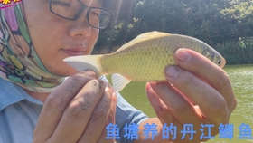 f61c508b1061debff9d3d32c013df563ee03699a.jpg@280w_158h_1c_100q.jpg