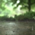【空镜头】夏季夏天下雨雨滴水花 素材分享
