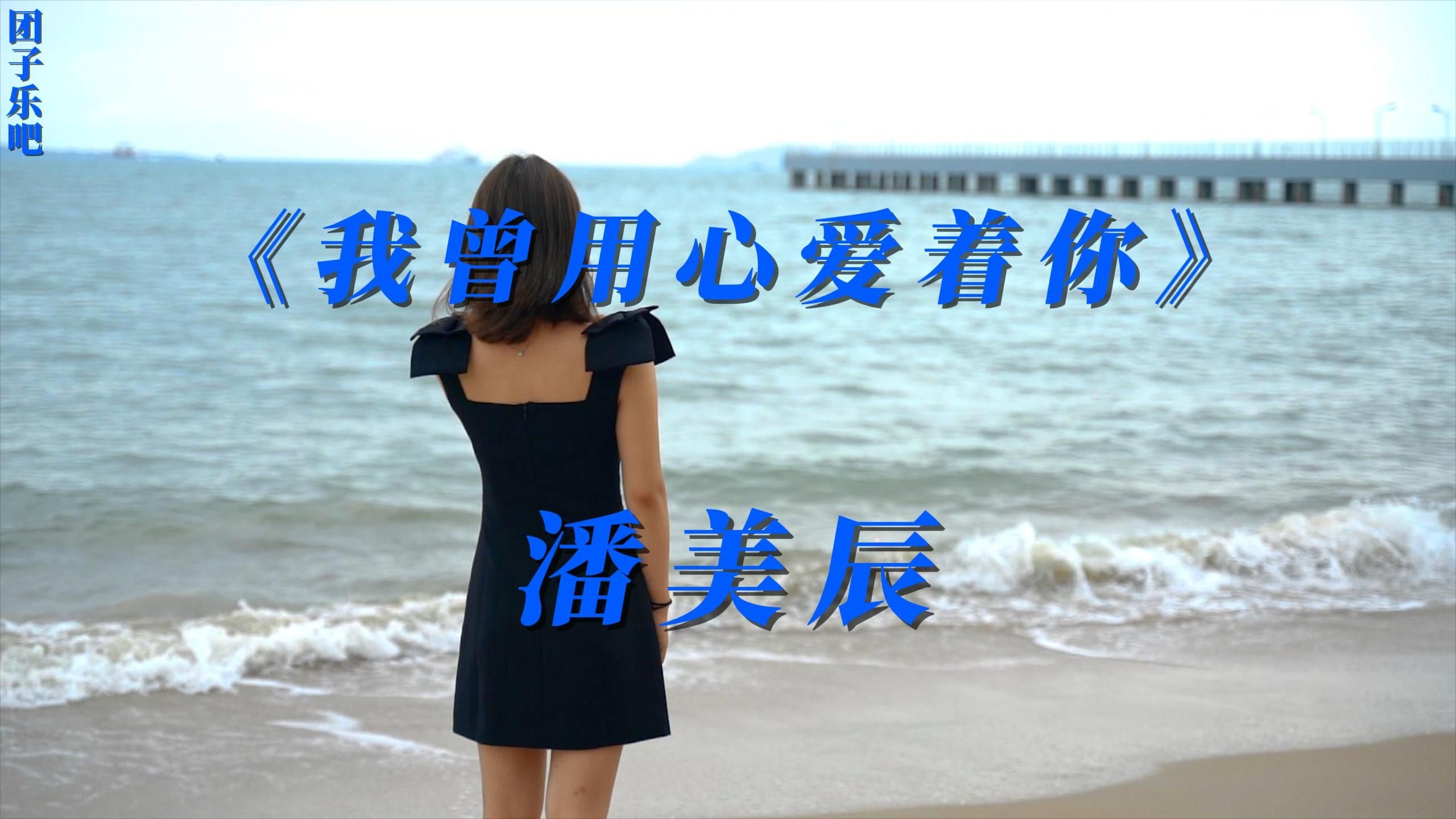 《我曾用心爱着你》-潘美辰【自制MV】【无损音质】