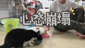 f68a8e886ccda3570e6cabfad94a36a3f40c6d48.jpg@280w_158h_1c_100q.jpg