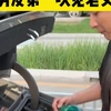 《老丈人现实挺能喝