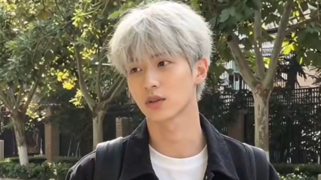 请问这ai吃了多少Tony？