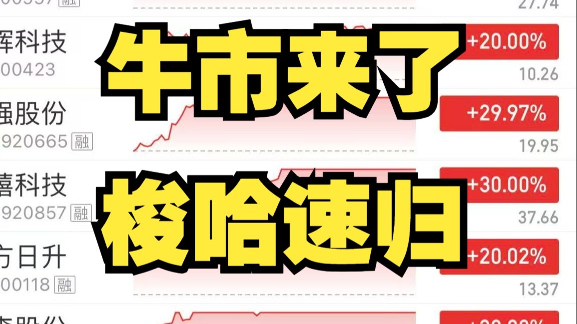 指数开门大涨，牛市来啦？