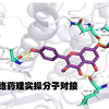 网络药理学实操分子对接及可视化