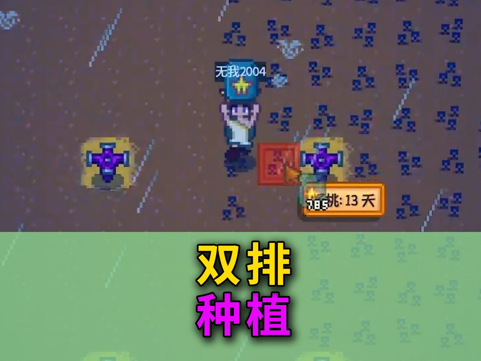【星露谷物语1.6】双排种植详解
