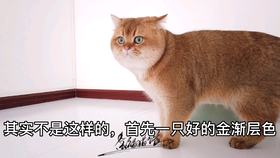 f6f2208b0206ebf371c6d240a43343786218f417.png@280w_158h_1c_100q.jpg