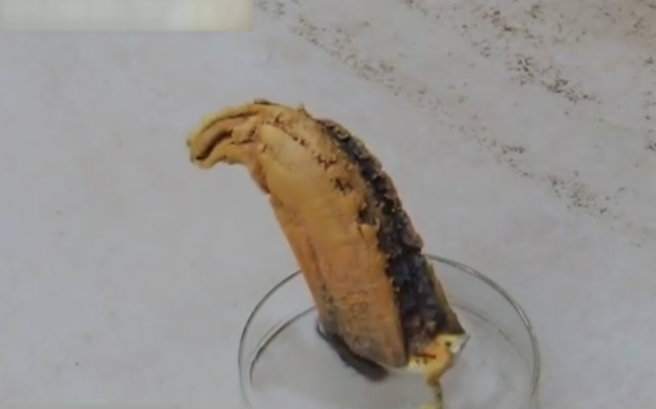 诡异的法老之蛇实验 ,硫氰化汞燃烧!。其实我觉