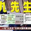 一句“九先生”引来大面积黑通稿，《朝雪录》到底动了谁的蛋糕