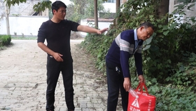 捡到老婆，甜蜜短剧免费观看，捡到甜蜜老婆，免费短剧欣赏