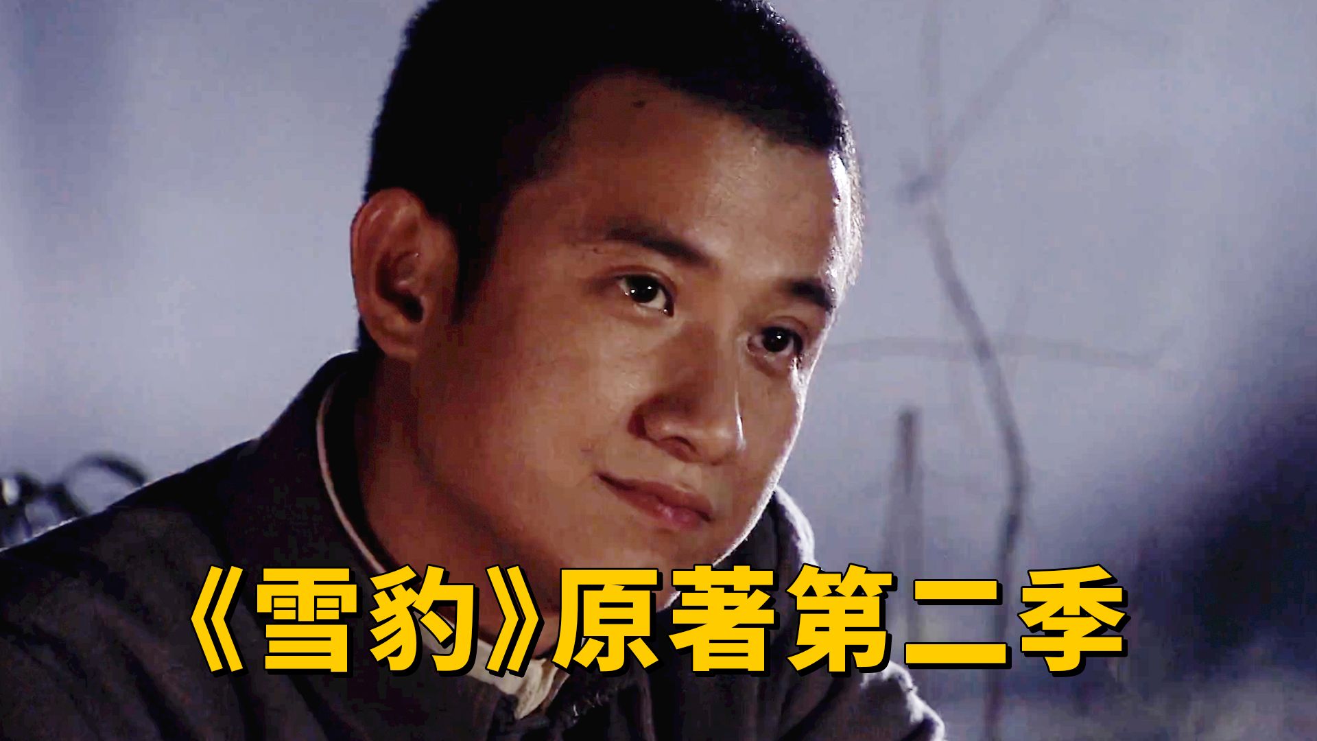 原著比电视剧还要爽？抗战后的周卫国又有哪些传奇经历《雪豹》原著P8