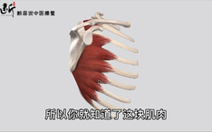 f73b37d45e236d160ea8e4ec3a5974620531f29a.jpg@234w_146h_1c.png
