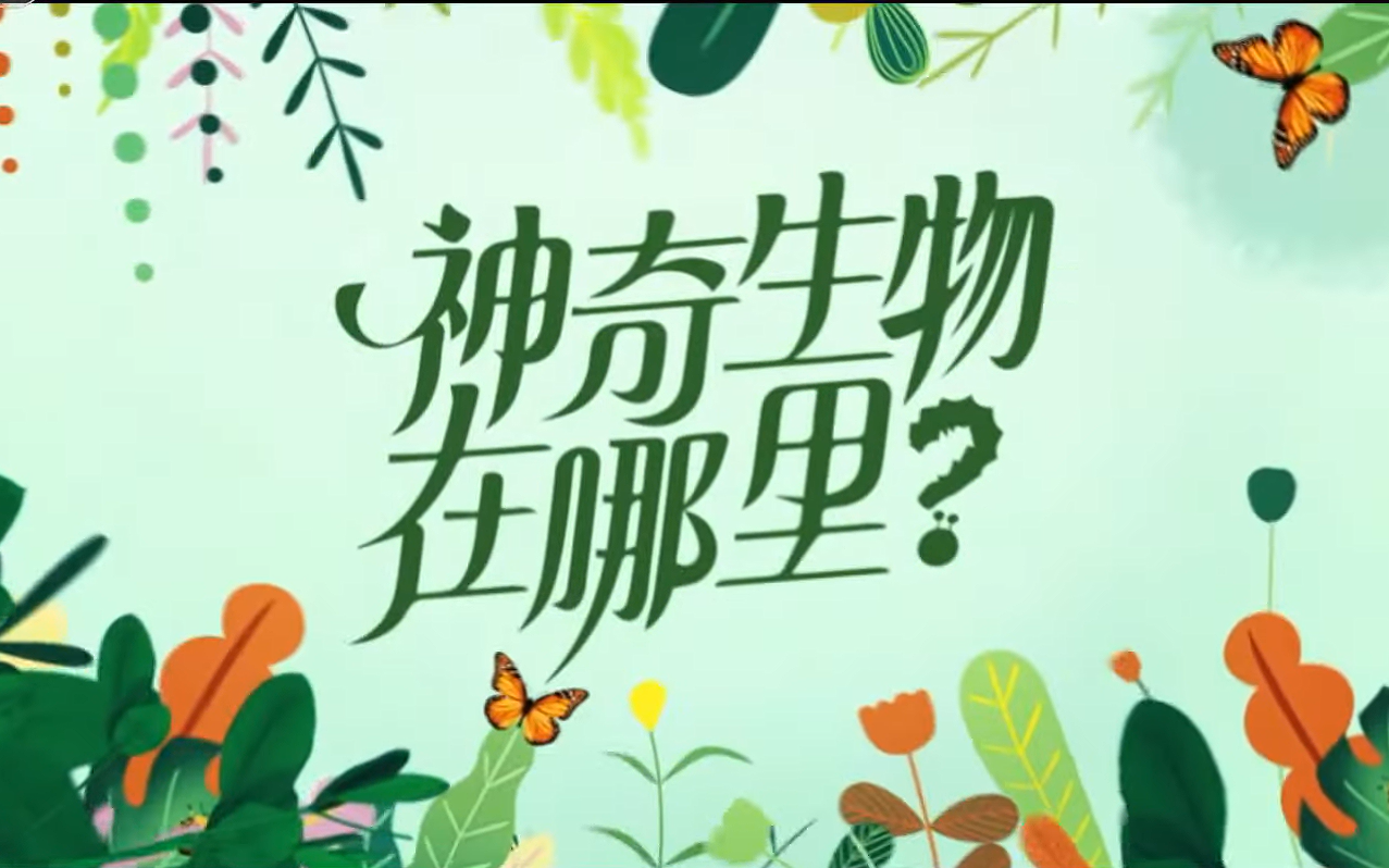 【纪录片】神奇生物在哪里？(2024)[10集]超清1080p中文字幕 蚂蝗 蝙蝠 蜘蛛 萤火虫 雷达老鼠 飞蛙 蜜蜂 蜥蜴 鼩鼱