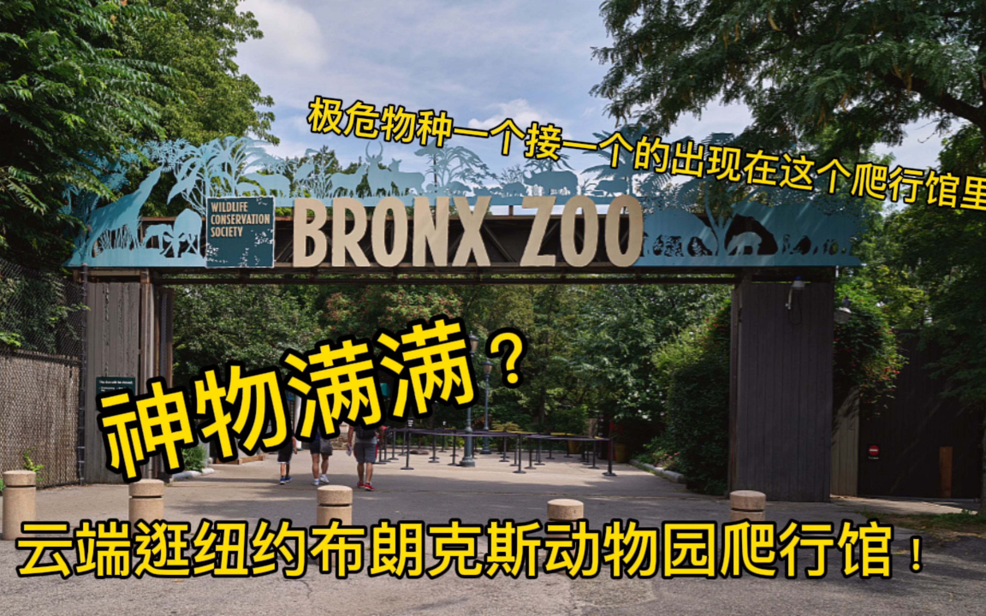 云逛纽约布朗克斯动物园爬行馆！