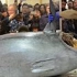 用价值1万日元刀现场分割上百公斤蓝鳍金枪鱼，围观者排队疯抢