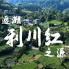 小翼带您走进湖北恩施，追溯利川红之源，感受数字技术为传统茶叶赋予的现代色彩