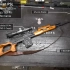 （9-Hole Reviews）罗马尼亚PSL狙击步枪800码实用精度测试