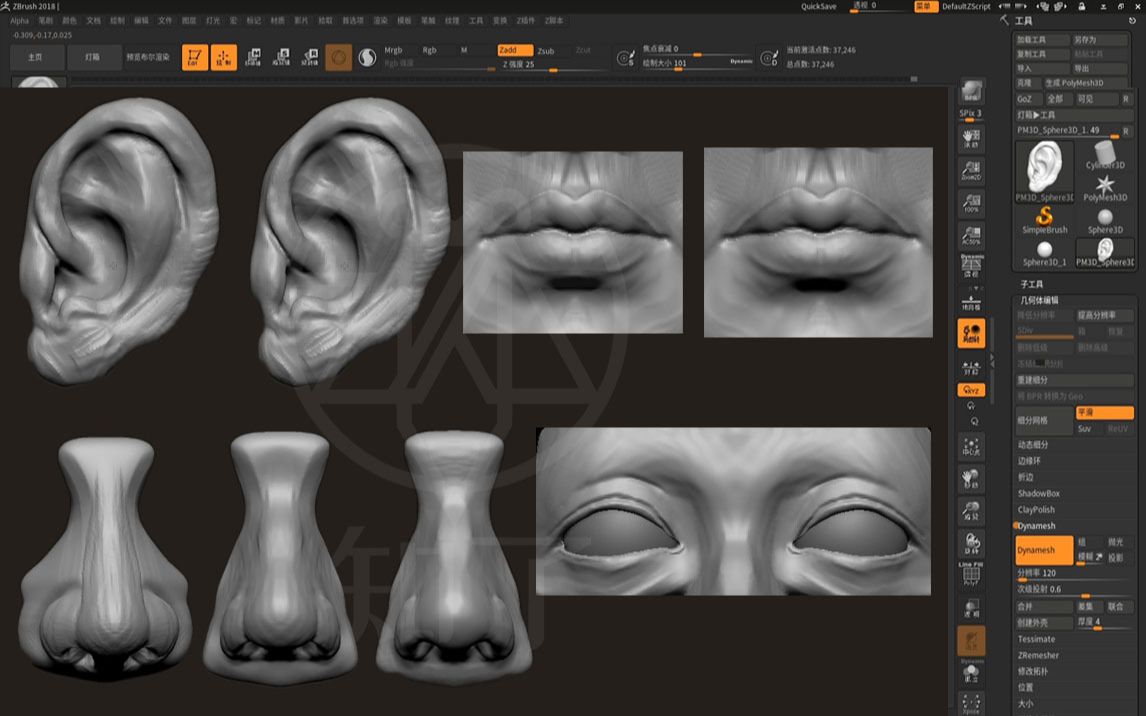 听完这节学不会zbrush五官雕刻我剁手,up主呕心沥血zbrush新手教程