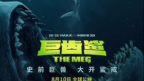 杰森斯坦森电影全集免费新版 f799dbe826508bb77a8d38279dd8cd511cd07baf.jpg@280w_158h_1c_100q.jpg