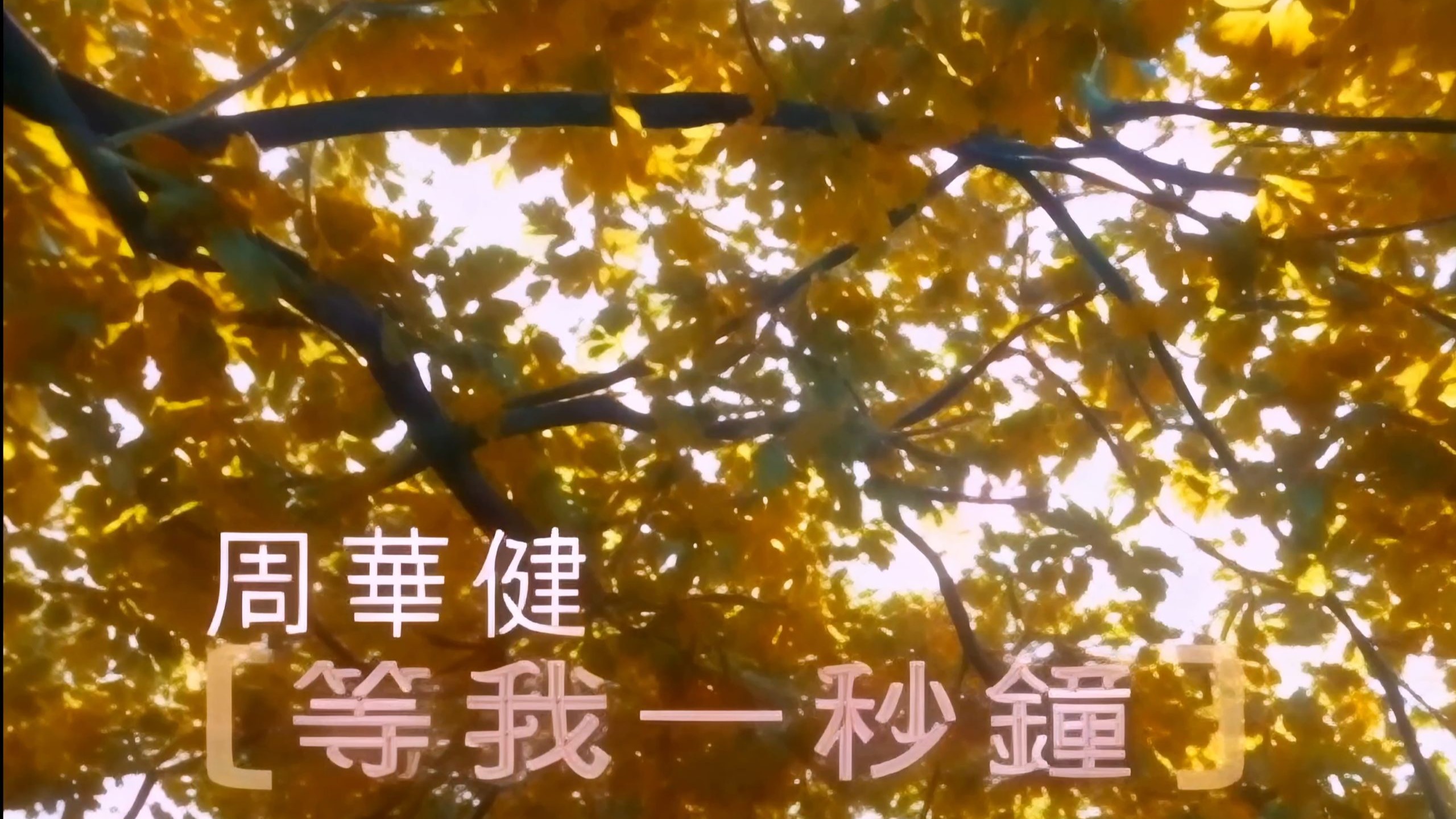 周華健 【等我一秒鐘 】原版4K修复拉伸版