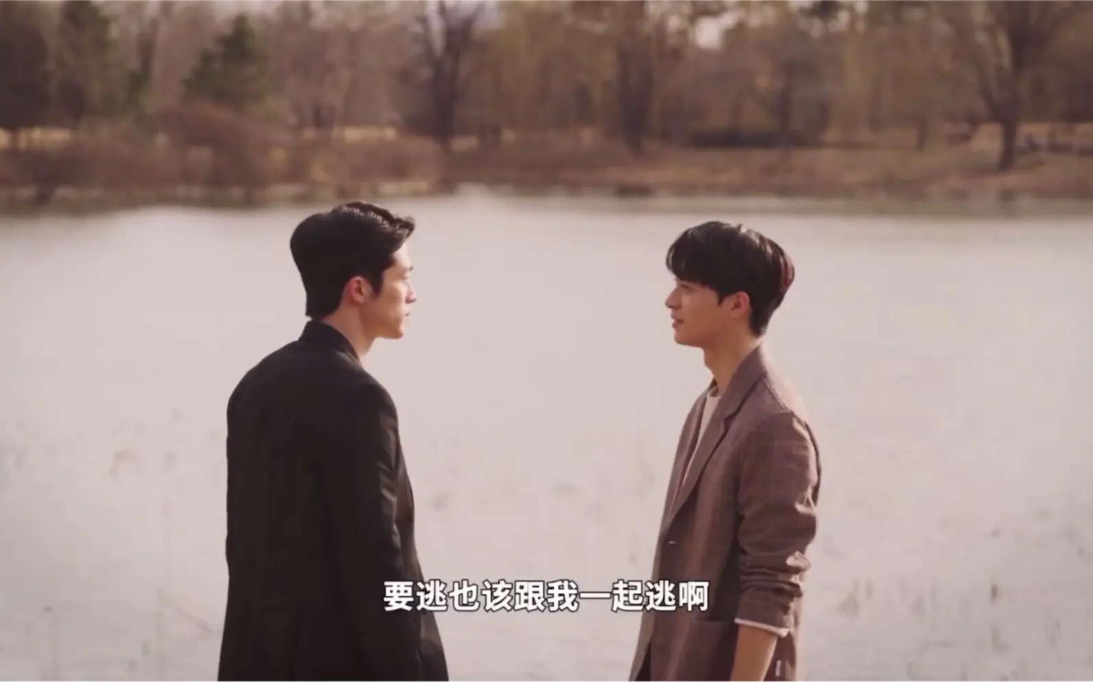 【你的目光所及之处】少爷回归，你俩可以一起去找好吃的炒年糕了