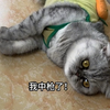 妈耶的无实物表演