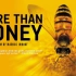 [豆瓣8.4分][德语中字]采得百花成蜜后 More Than Honey (2012)